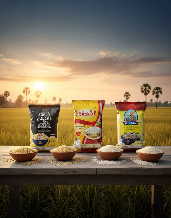 Sunko Spices qatar India